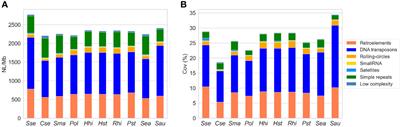 The genomic study of repetitive elements in Solea senegalensis reveals multiple impacts of transposable elements in the evolution and architecture of Pleuronectiformes chromosomes